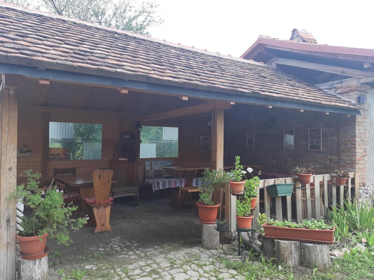 Casa Maria Διαμέρισμα Cincu Εξωτερικό φωτογραφία