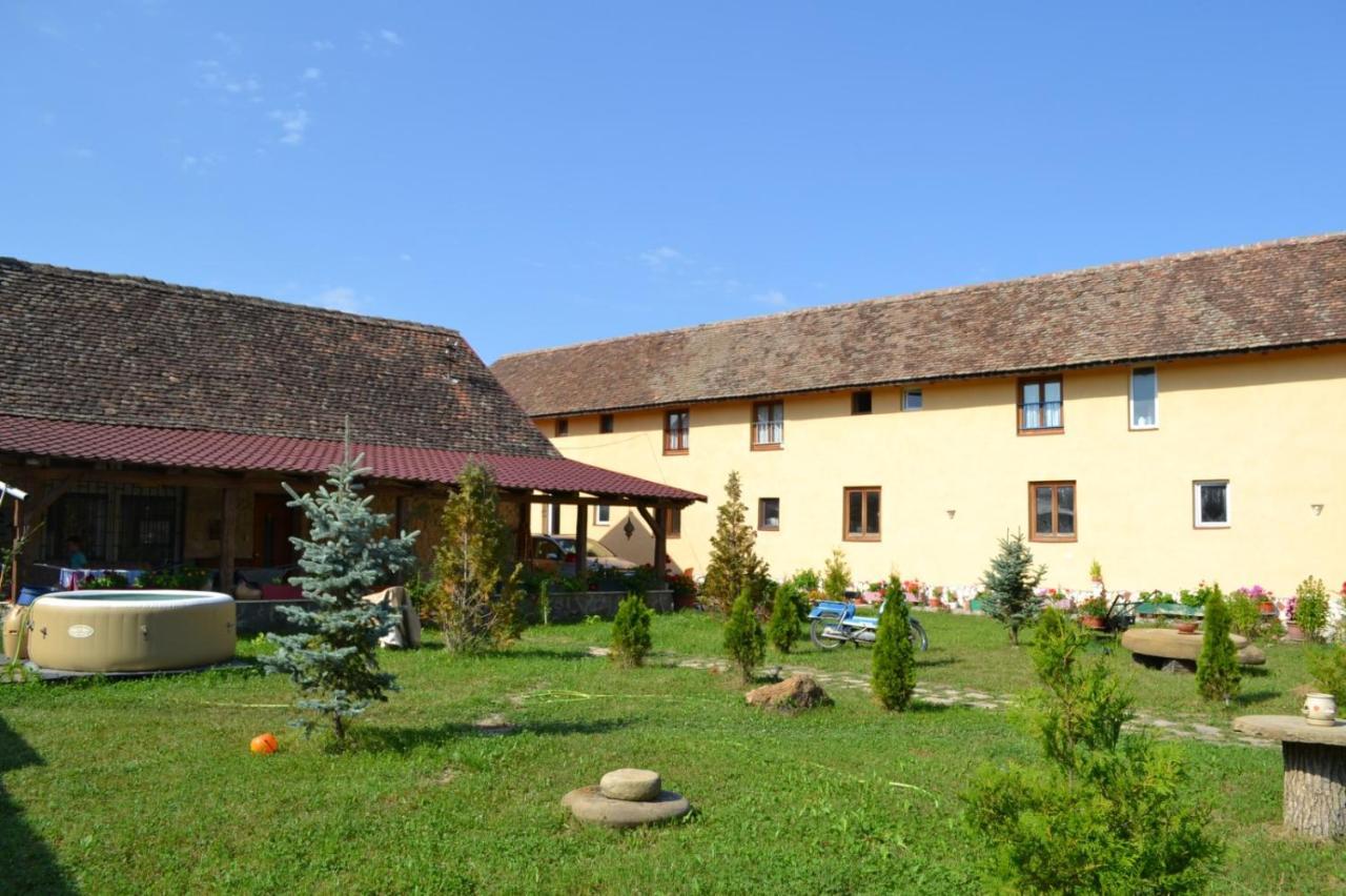 Casa Maria Διαμέρισμα Cincu Εξωτερικό φωτογραφία
