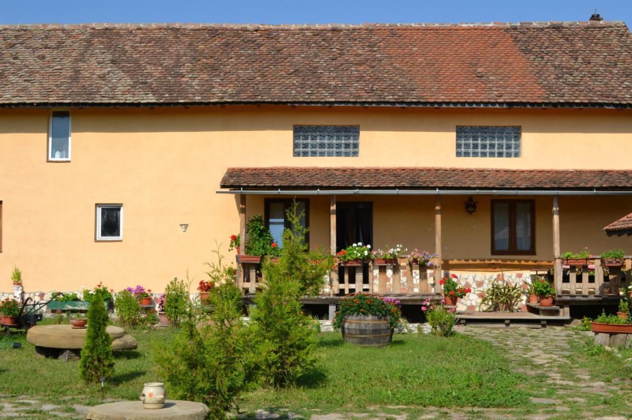 Casa Maria Διαμέρισμα Cincu Εξωτερικό φωτογραφία