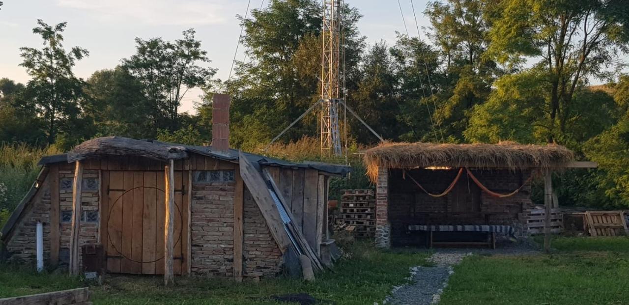 Casa Maria Διαμέρισμα Cincu Εξωτερικό φωτογραφία