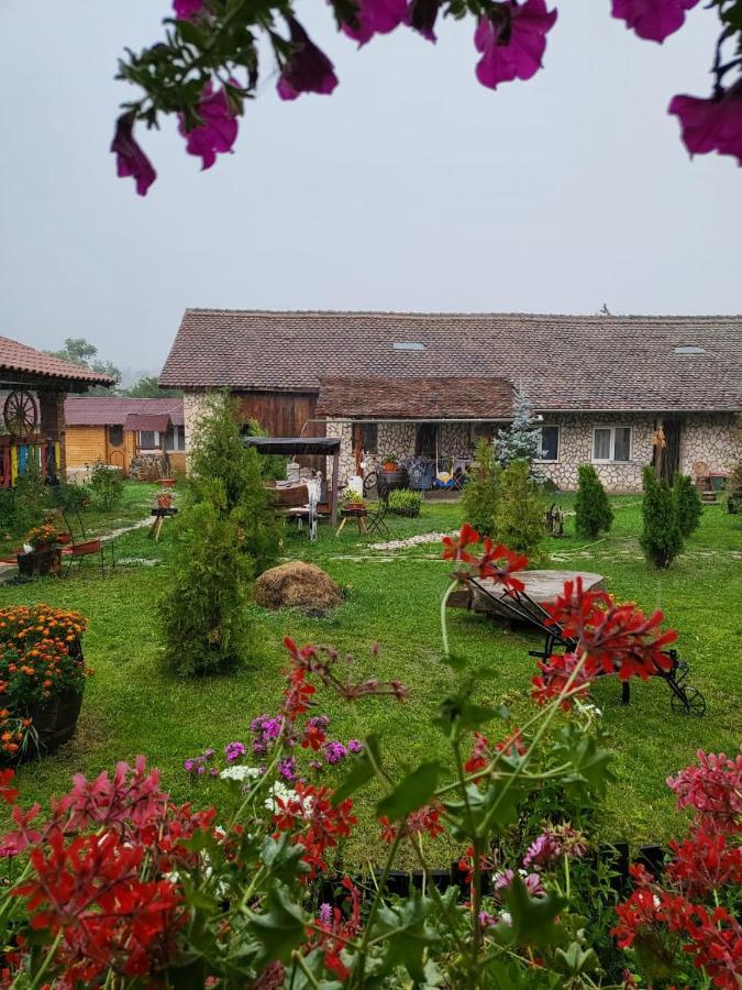 Casa Maria Διαμέρισμα Cincu Εξωτερικό φωτογραφία
