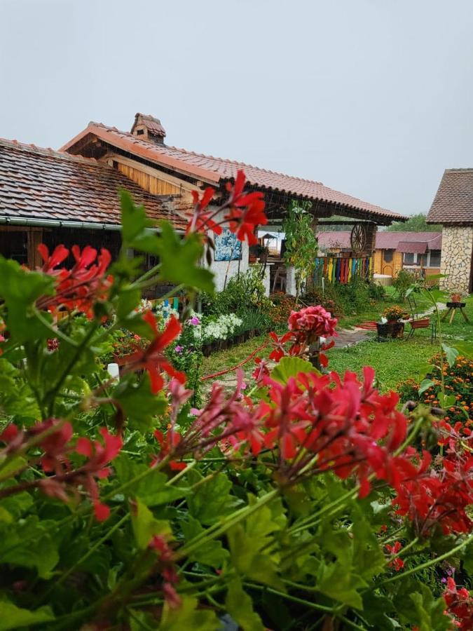 Casa Maria Διαμέρισμα Cincu Εξωτερικό φωτογραφία