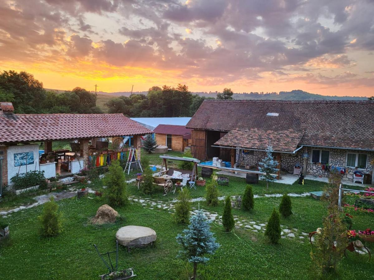 Casa Maria Διαμέρισμα Cincu Εξωτερικό φωτογραφία