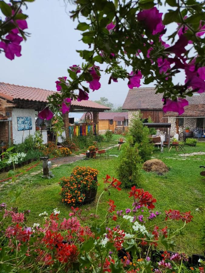Casa Maria Διαμέρισμα Cincu Εξωτερικό φωτογραφία