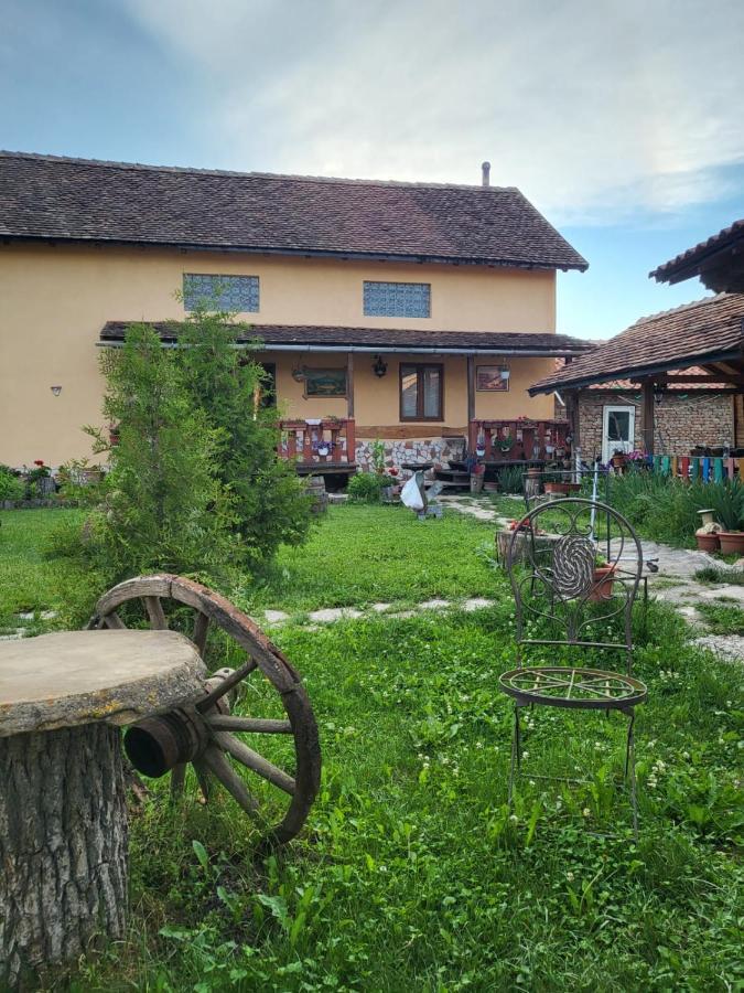 Casa Maria Διαμέρισμα Cincu Εξωτερικό φωτογραφία