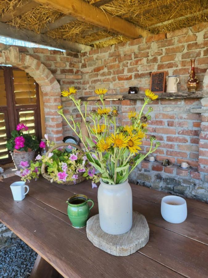 Casa Maria Διαμέρισμα Cincu Εξωτερικό φωτογραφία