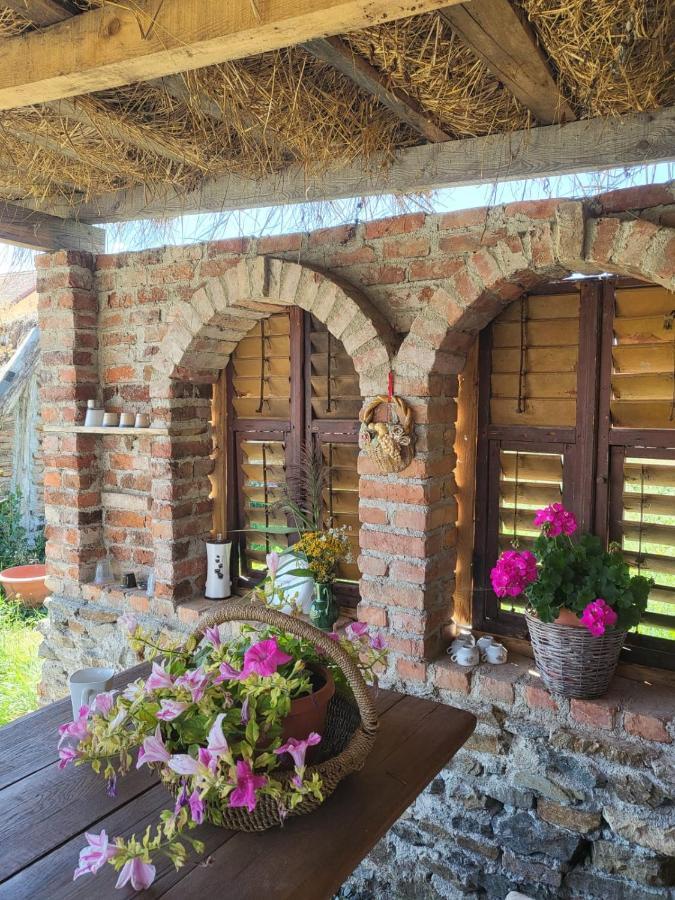 Casa Maria Διαμέρισμα Cincu Εξωτερικό φωτογραφία