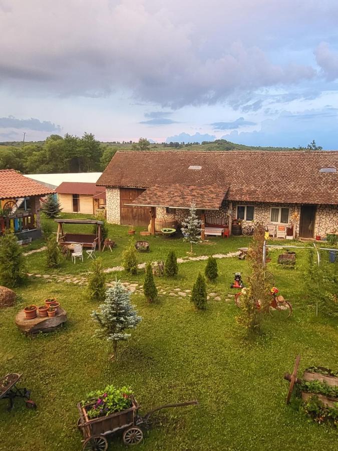 Casa Maria Διαμέρισμα Cincu Εξωτερικό φωτογραφία