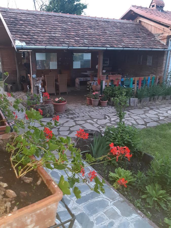 Casa Maria Διαμέρισμα Cincu Εξωτερικό φωτογραφία