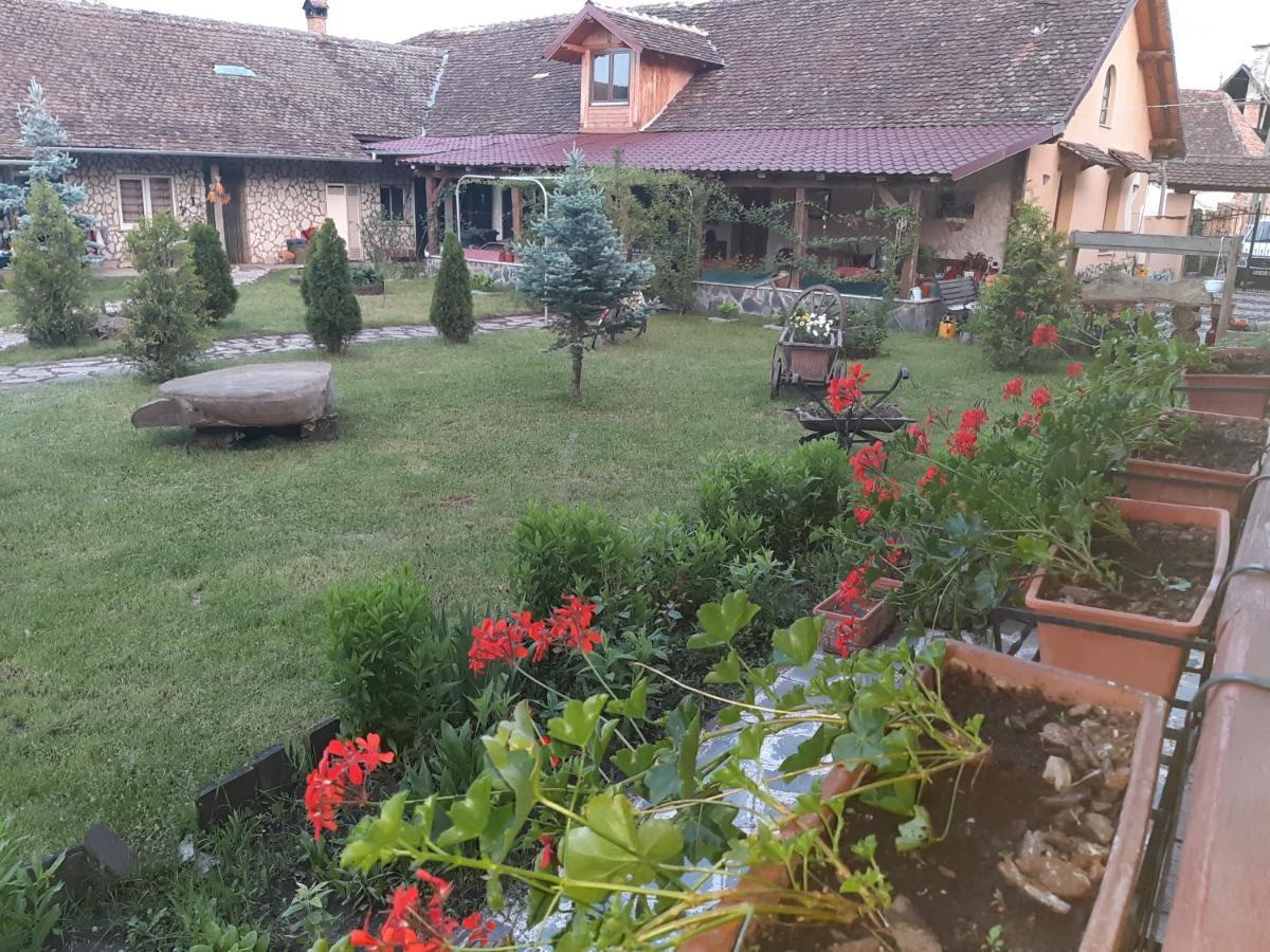 Casa Maria Διαμέρισμα Cincu Εξωτερικό φωτογραφία