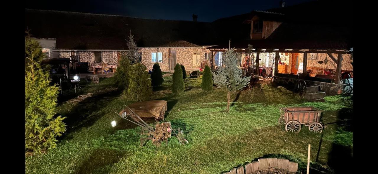 Casa Maria Διαμέρισμα Cincu Εξωτερικό φωτογραφία